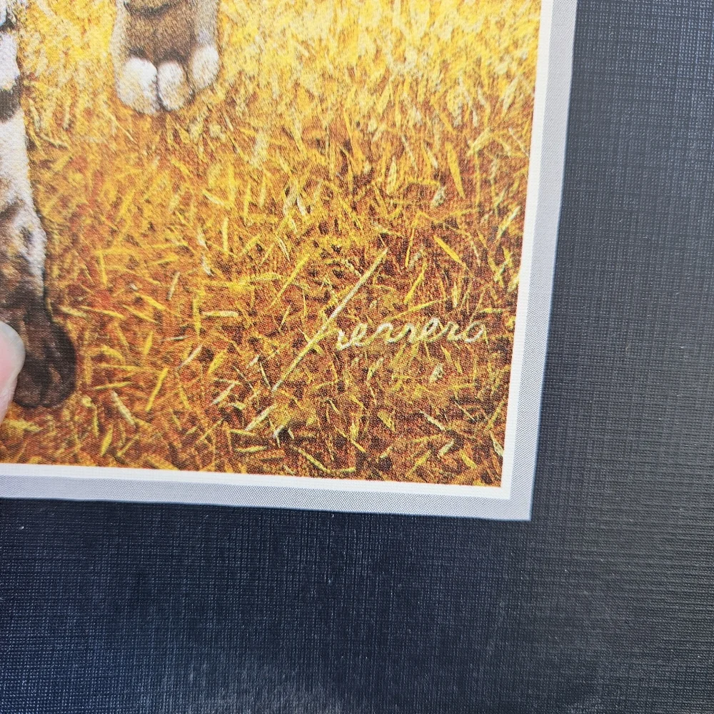 2012 American Cat Calendar Twenty Fifth Edition Lowell Herrero
